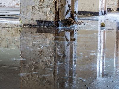 About Water Damage Restoration in Palm Beach - water damage restoration experts in Palm Beach